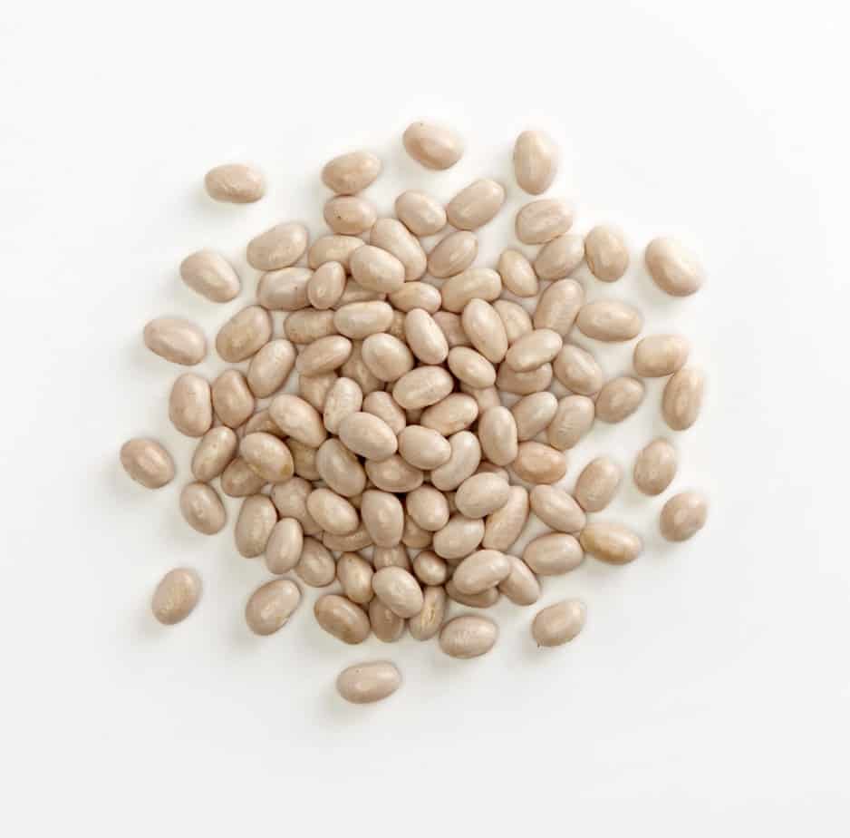 Navy Bean