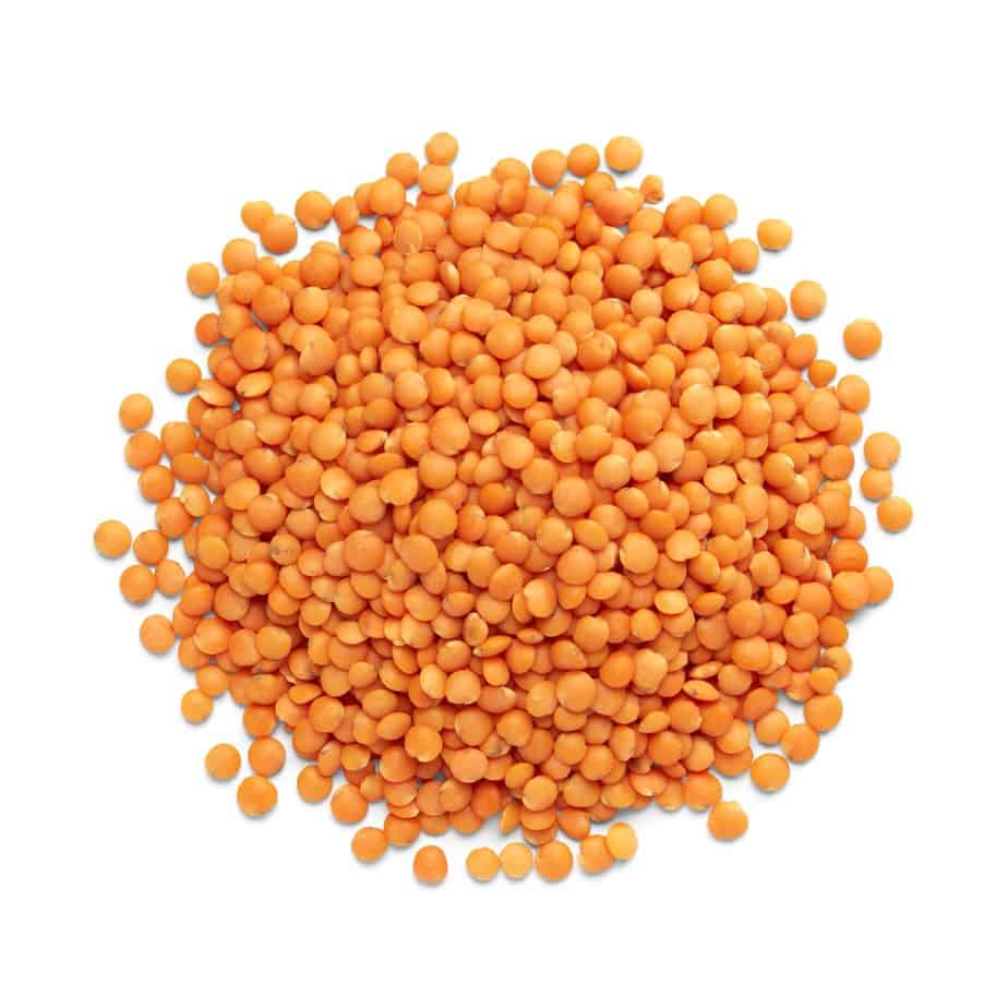 27 decorticated red lentil lenteja crimson pelada