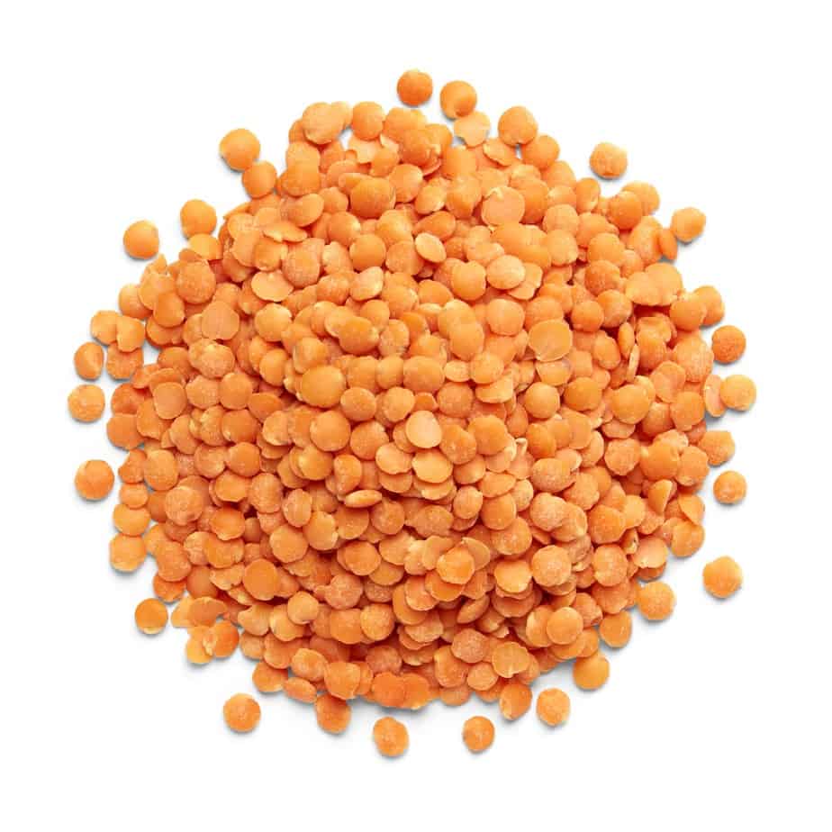 28 decorticated chief lentil lenteja red chief pelada