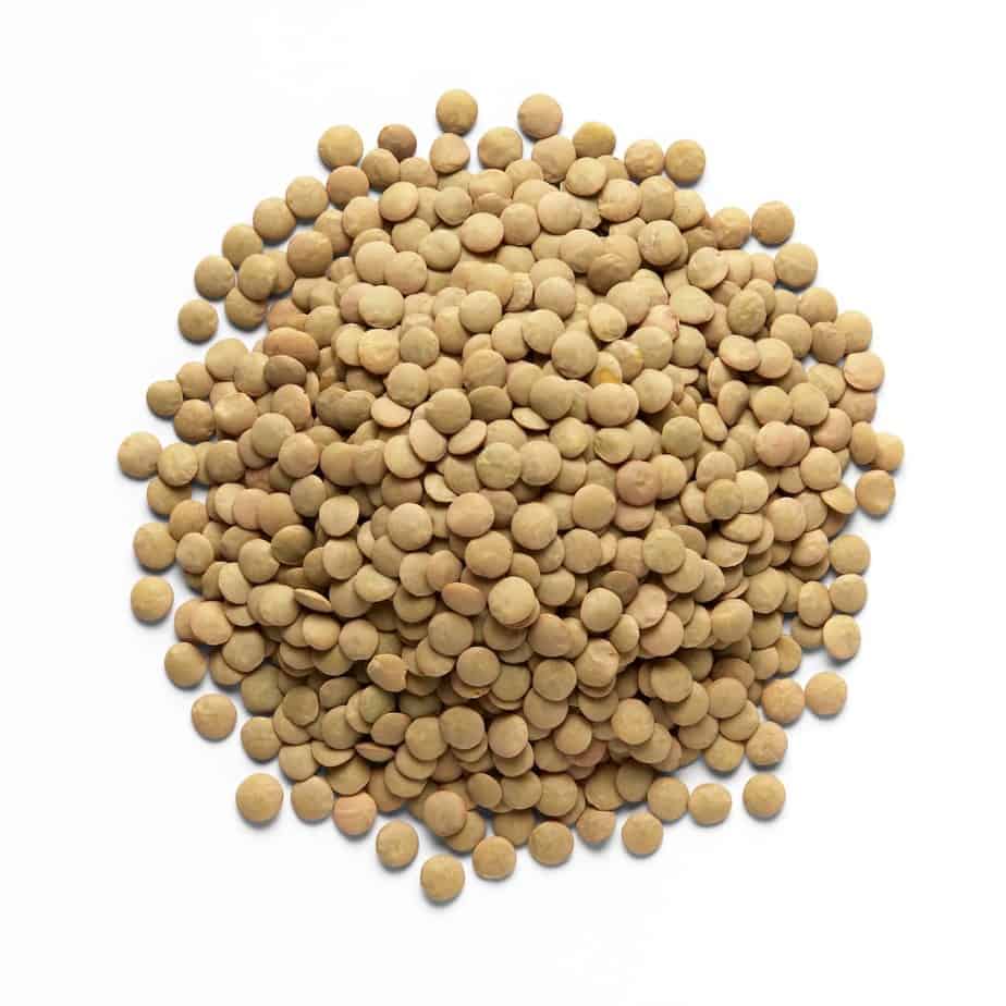 large green lentil richlea lentil