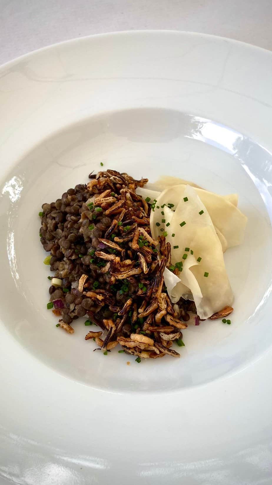 Ensalada tibia de lentejas beluga, palomitas de arroz salvaje, salsa thai y polvo de cebolla