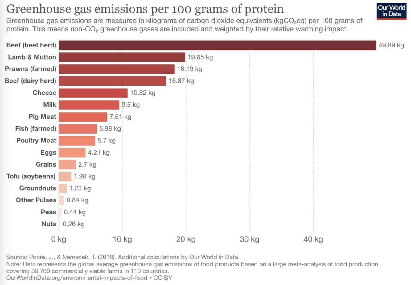 ghg-per-protein-poore-1536x1065