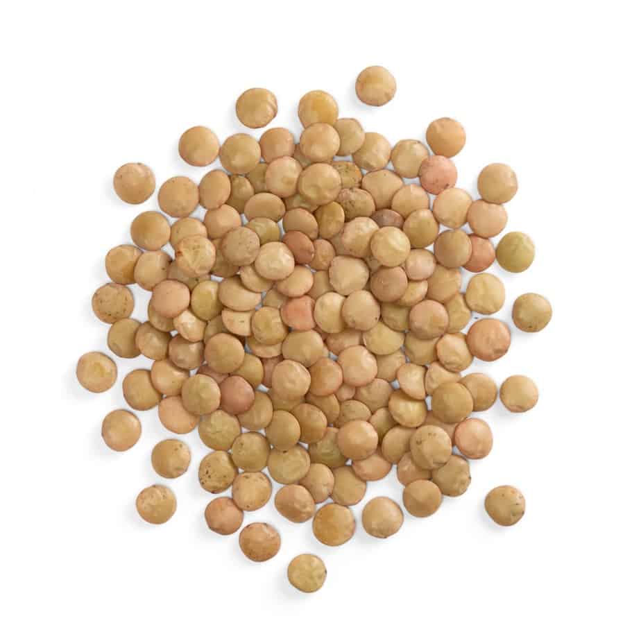 20-large-green-lentil