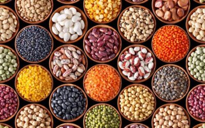 Mit Hülsenfrüchten die Darmgesundheit optimieren